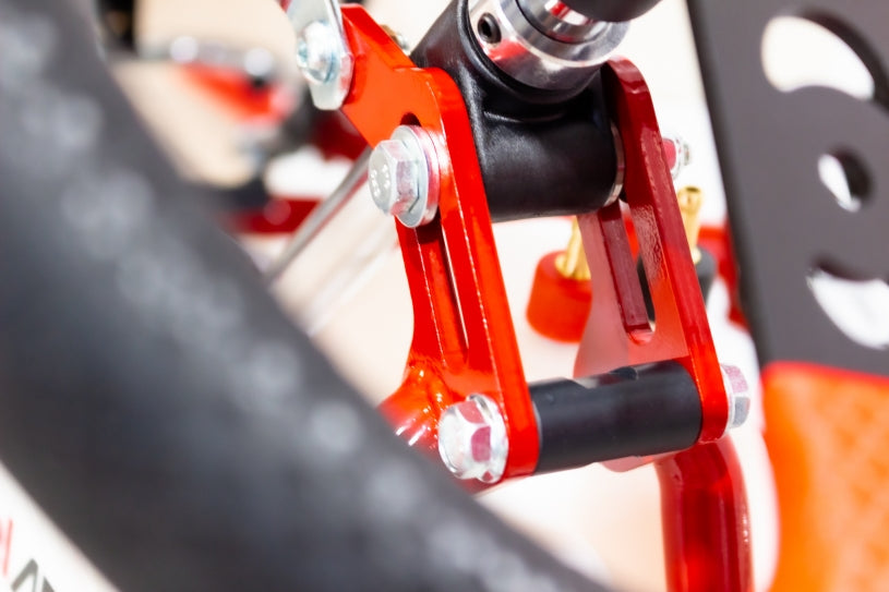 2024 BirelART AM29-S16 Go Kart