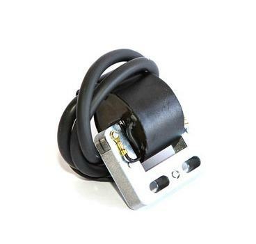 #273  SELETTRA COIL
